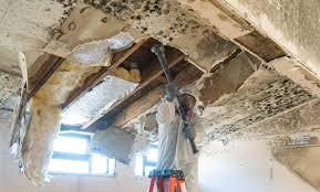 Wenonah, NJ Mold Removal & Remediation Company